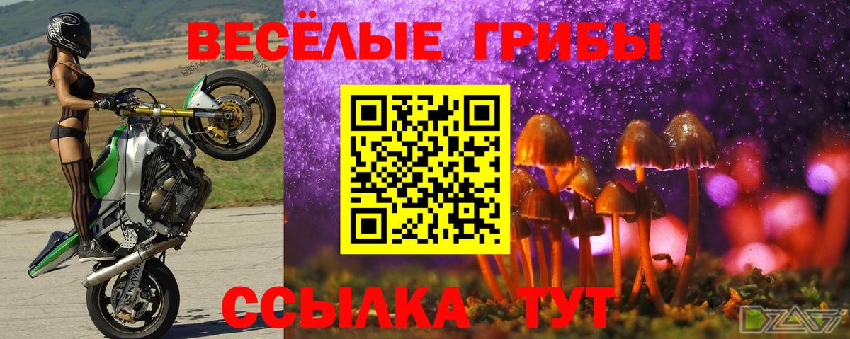 Галлюциногенные грибы MAGIC MUSHROOMS  Галлюциногенные грибы Psilocybine cubensis  Вход с VPN  Ипатово 