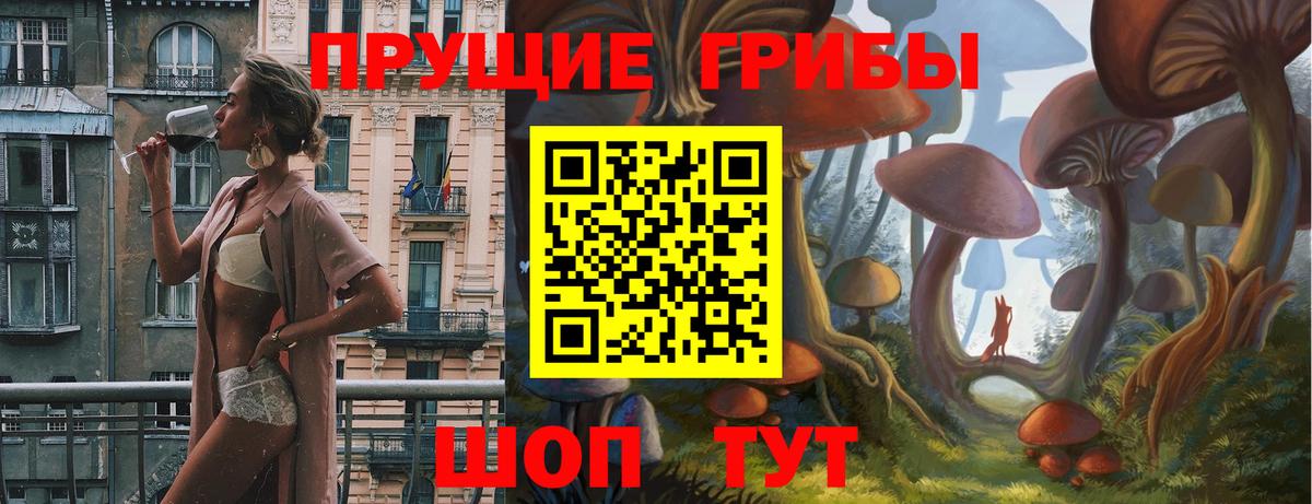 Псилоцибиновые грибы прущие грибы Ипатово